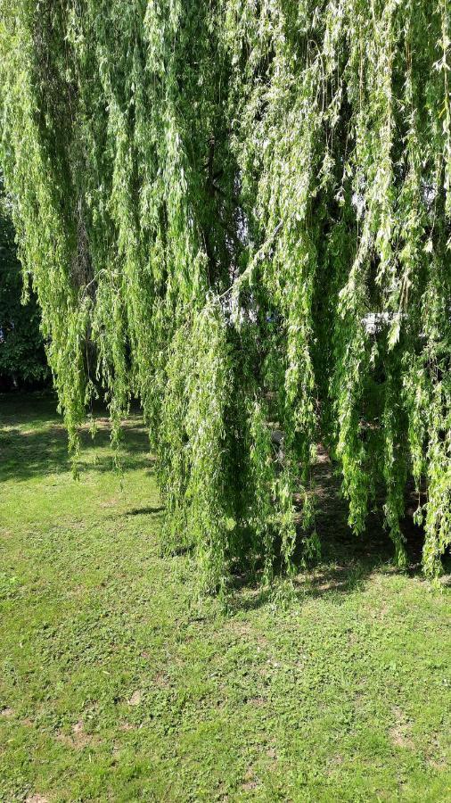 Bed and Breakfast Le Pas Sage La Caillere-Saint-Hilaire Экстерьер фото